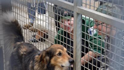 Bild: exb
Das Tierheim Amberg öffnet am Sonntag, 9. September, seine Türen.