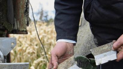 Bild: upl
Bei der Anschlagsserie vor einigen Jahren im Kreis Amberg-Sulzbach glichen sich die Ereignisse: Ein 20 Zentimeter langer Stahlbolzen wurde jeweils an den Maispflanzen befestigt. Er geriet ins Häckselwerk und riss die Klingen aus der Verankerung, die auf dem Traktordach einschlugen. Verletzt wurde glücklicherweise niemand