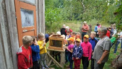 Bild: fvo
Der Spielberger Imker Karl Weiß (vorne rechts) zeigt den vielen Ferienkindern durch eine Glasscheibe seine Bienen.