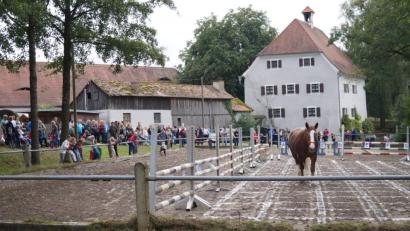 Bild: exb
Mit Spannung verfolgen die Besucher die Aktivitäten von Glückspferd Jana beim Bingo.