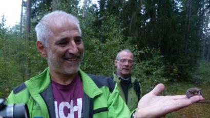 Bild: usc
Den einzigen in einem Vogelnistkasten erreichbaren Fledermausfund macht Rudolf Leitl im Schnaittenbacher Staatsforst. Auf seiner Hand sieht man, wie klein das Tierchen ist.