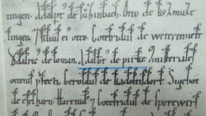 Bild: fsb
Die Originalurkunde mit der Nennung des Ortsnamens Pirk ist zwar nicht mehr erhalten, wohl aber ein Faksimile mit dem Namen Adalbert de Pirke.