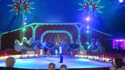 Bild: jzk
Juniorchef Georg Frank bekommt viel Applaus für seinen Auftritt mit den sibirischen Steppenkamelen.