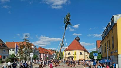 Bild: twi
Den Kirwa-Burschen gelingt es wiederum erfogreich den Kirwabaum auf dem Marktplatz aufzustellen.