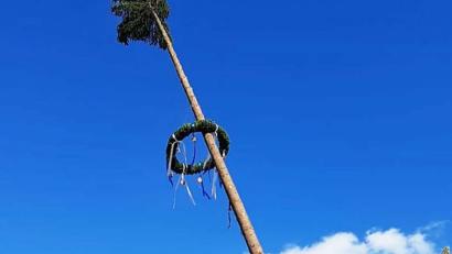 Bild: ü
Den 25 Meter hohen Baum hieven die Burschen an der Neuzirkendorfer Kirwa in die Höhe.