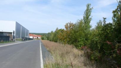 Bild: kgg
Auf der früheren Bahntrasse (rechts hinter dem Bewuchs) soll später den Plänen zufolge die neue Bundesstraße 299 verlaufen - und parallel zur Straße "Zur ehemaligen Porzellanfabrik" zwischen den Gewerbebauten an die bestehende Mitterteicher Straße anschließen.