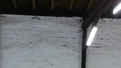 Bild: njn
Viel Spaß hatten die Kinder beim Slotcar-Rennen.