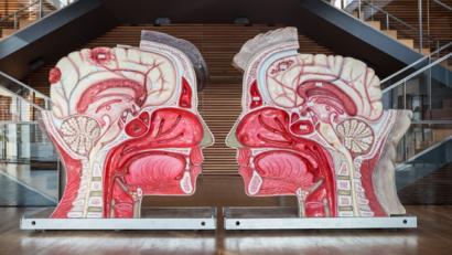 Bild: exb
Am überdimensionalen Kopfmodell stehen Ärzte aus verschiedenen Fachbereichen beim Gesundheitstag Rede und Antwort bei allen Fragen zu Funktion und Schädigungen des Gehirns. Dazu bieten der Ärzteverbund Oberpfalz Mitte (ÄVOM) und das mitveranstaltende Gesundheitsamt mehrere Vorträge an.