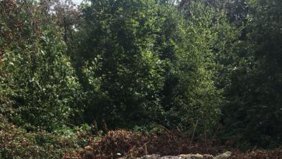 Bild: jr
Bauschutt hat ein Unbekannter bei Hofteich einfach in der Natur entsorgt.