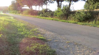 Bild: kö
Die Gemeindeverbindungsstraße weist starke Verdrückungen und Durchbrüche auf und soll deshalb eine Oberbauverstärkung samt Entwässerung erhalten.