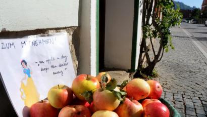 Bild: Stephan Huber
Verlockend: Sie glänzen in der Sonne und bringen so einige Passanten in Versuchung. In der Fronfestgasse liegen Äpfel bereit, an denen sich jeder, der vorbeikommt, bedienen darf.