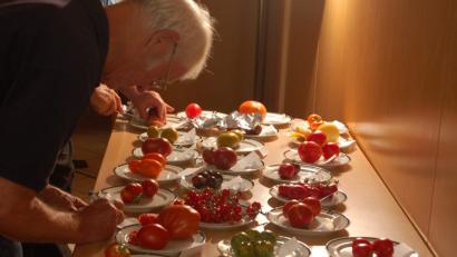 Bild: B. Ströll
Eine etwas andere Ausstellung präsentiert die Tomaten-Viefalt.