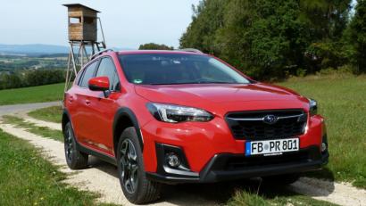 Bild: bz
Wenn auch das große Betätigungsfeld des Subaru XV Stadt und Land sein werden, er bringt alle Zutaten mit, um über Stock und Stein zu klettern.