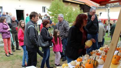 Bild: pko
Ein vielseitiges Angebot rund um den Herbst und natürlich Kürbisse in allen Formen sind am Sonntag im Seebarner Heimatmuseum zu entdecken.