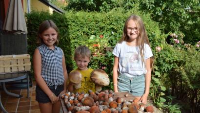 Bild: bej
Luca und seine Schwestern Marie und Sophie freuen sich über die reiche Schwammerlernte.