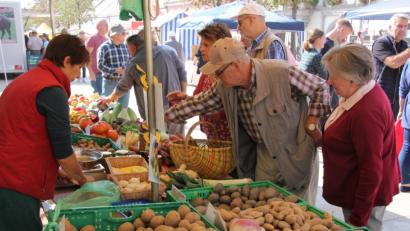 Bild: kro
Landwirtschaftliche Produkte, direkt vom Erzeuger, gab es beim 22. Bauernmarkt in Tirschenreuth.