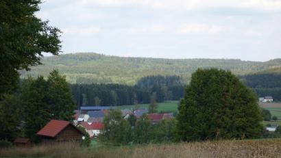 Bild: fjo
Idyllisch in ein großes Waldmeer eingebettet liegt der Waidhauser Ortsteil Reichenau direkt an der Grenze zu Böhmen, der fast 100 Jahre lang einem besonderen Erwerbszweig Heimat gab.