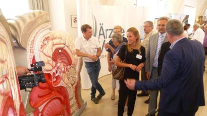 Bild: Hubert Uschald
Der Ärzteverbund Oberpfalz Mitte (Zweiter von rechts: Vorsitzender Dr. Harald Schmaußer) stellt heuer ein überdimensionales Kopf-Modell vor.