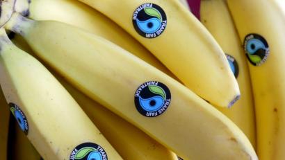 Bild: Jörg Carstensen/dpa
Nicht nur Bananen sollten in einer Fair-Trade-Stadt wie Amberg aus kontrolliertem Anbau kommen. Die passenden Produkte zu finden, erfordert einen enormen personellen Aufwand.