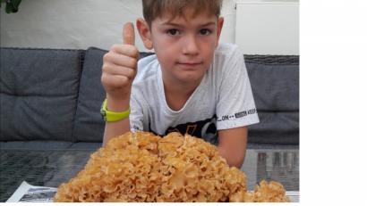 Bild: jr
1,7 Kilo wog die „Fette Henne“, die Timo Lohrer bei Waldsassen entdeckte.