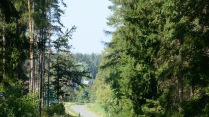 Bild: bey
In die Landschaft schön eingebettet ist die Gemeindeverbindungsstraße nach Schwand. Nur für landwirtschaftliche Fahrzeuge fehlt die ausreichende Breite. Die FWG-Fraktion hat deshalb den Ausbau der Straße beantragt.