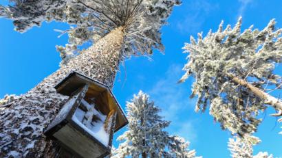 Bild: sds
Auch Winterimpressionen im Steinwald hat Siegfried Steinkohl mit seiner Kamera eingefangen. In seiner 90-minütigen "Jahresreise" präsentiert er beeindruckende Momente und Ereignisse im Naturpark Steinwald.