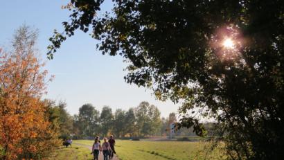 Bild: Götz
Der Wandertag wird zur Wanderwoche ausgeweitet. Reizvolle Touren stehen auf dem Programm des Zweckverbandes Oberpfälzer Seenland.