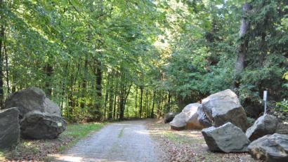 Bild: es
Der 14. Schöpfungstag am Samstag, 29. September, in der Modellgemeinde Biodiversität Tännesberg will Anregungen im Umgang mit unserer Natur geben. Geoparkranger Hans Maier informiert im geologischen Lehrpfad über das Erdzeitalter und die Gesteinsvielfalt.