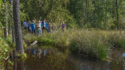 Bild: exb
Spannende Wanderung durch den Wald. Die Exkursionsteilnehmer erfuhren Teilnehmer eine Menge wissenswerter Dinge über den Biber.