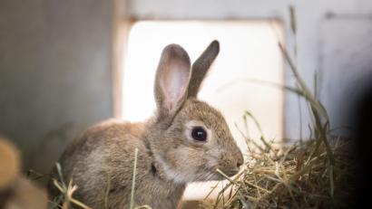 Bild:  Alexander Heinl/dpa
Symbolbild.