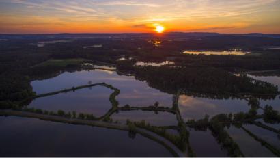 Bild: Zweckverband Oberpfälzer Seenland
Von September bis April wird alljährlich ein alter Oberpfälzer gefeiert.