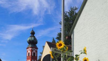 Bild: gz
Trotz des kleinen Vorgartens gedeihen die Sonnenblumen des ehemaligen Mesnerehepaars prächtig und erfreuen die Menschen.