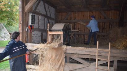 Bild: bnr
Der Stiftendrescher war eine große Arbeitserleichterung. Mit seiner Einführung konnten auch Frauen die Arbeit übernehmen.