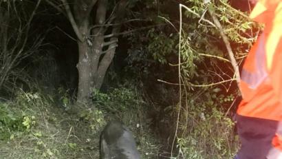 Bild: Polizei
Etwa drei Meter lang und einen Zentner schwer war der Zusatztank, den ein Flugzeug irgendwann in den Weiher hatte fallen lassen.