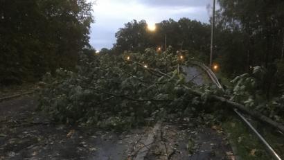 Bild: Beer
Sturmtief "Fabienne" hat in der Oberpfalz massive Schäden angerichtet.
