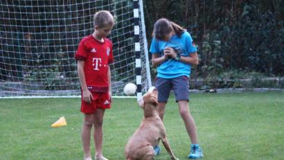 Bild: Dagmar Williamson
Niemals vergisst Julia Klein die Belohnung. Spielend trainiert sie ihre Labradorhündin mit Unterstützung von ihrem Bruder Jonas.