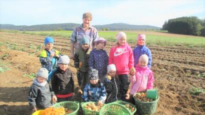 Bild: tu
Kinder bei der Kartoffelernte mit Bäuerin Sigrid Gebert.