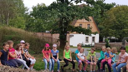 Bild: hai
Die Kinder warten, bis das Kartoffelkraut für das Feuer aufgeschichtet werden kann.