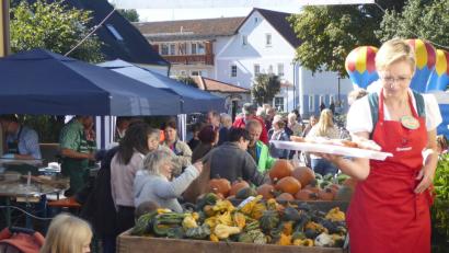 Bild: fsb
Kürbisse in allen Variationen und vielen Farben. Ein Augenschmaus.