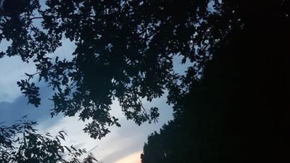 Bild: Aileen Wopperer
Das sind die Titelbild-Vorschläge für den Oktober.