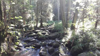 Bild: dob
Herrliches Lerautal. Zu jeder Jahreszeit eine Wohlfühloase zum Auftanken und Durchatmen.