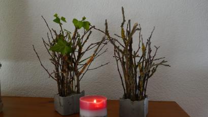 Bild: mia
Attraktive Herbst-Arrangements lassen sich ganz leicht aus Beton basteln. Gerlinde Besl aus Amberg zeigt, wie's geht.