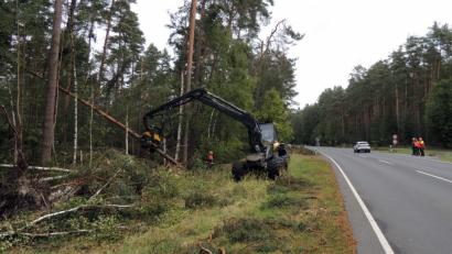 Bild: mor
Harvester und Holzfäller machten sich entlang der B 299 ans Aufräumen nach dem Sturmtief Fabienne. Kurzzeitig musste die Bundestraße auch gesperrt werden.