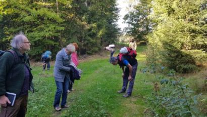 Bild: exb
Waldenthusiast Michael Schneider und BLSV-Übungsleiter Thomas Zernak (rechts im Bild) leiten das "Waldbaden" im Naturpark Steinwald.