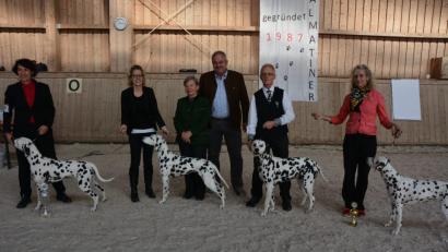 Bild: jr
Die erfolgreichsten Züchter mit ihren prämierten Dalmatinern sowie Richterin Gisela
Schicker (Dritte von links) und Leonbergs Bürgermeister Johann Burger (Mitte).