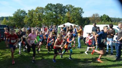 Bild: fz
Der Crosslauf zeichnet sich besonders durch die hohe Teilnehmerzahl Kinder und Jugendlicher aus.
