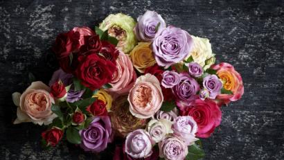 Bild: obs/Blumenbüro Holland
Auf diese Blumen hätte eine junge Oberpfälzerin gern verzichten können: Mit 99 Rosen stand ein ehemaliger Liebhaber aus Asien in ihrem Heimatdorf vor der Haustür.