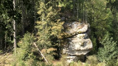 Bild: Rainer Christoph
Nichts deutet bei den mächtigen Granitfelsen am Uferpfad der Waldnaab auf die Existenz der ehemaligen Burg Schwarzenschwall hin. Für interessierte Wanderer hat der OWV eine kleine hölzerne Infotafel unterhalb der Felsen aufgestellt.