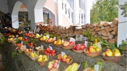 Bild: rku
Obstausstellung.