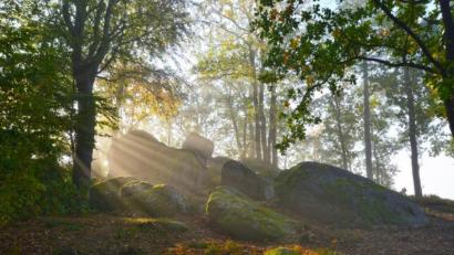 Bild: Günter Moser
Die Sonnenstrahlen des Vormittags zerteilen die letzten Nebel rund um das Naturdenkmal Druidenstein.